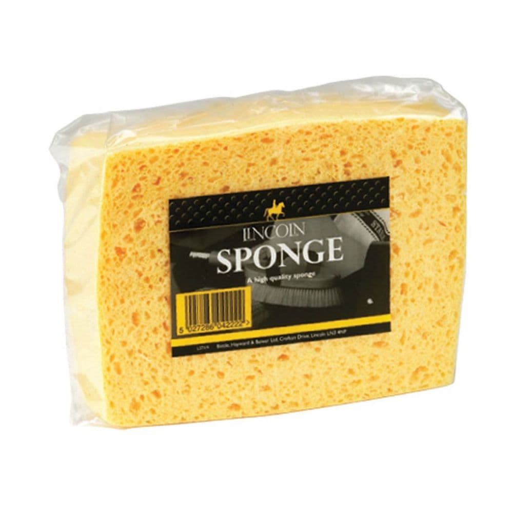 Lincoln Sponge