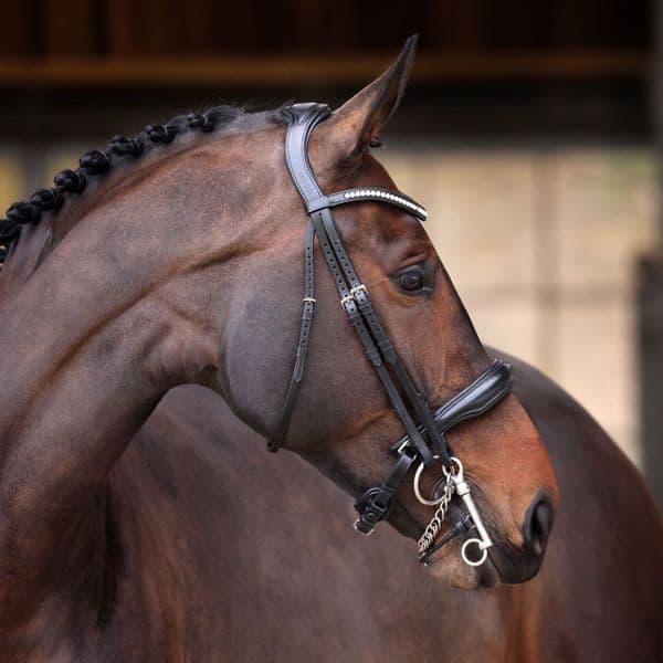 Lusso Double Bridle