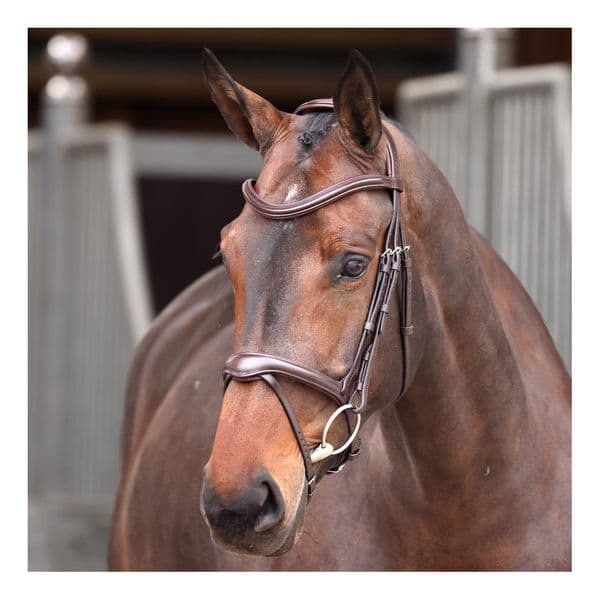 LUSSO Elite Flash Bridle