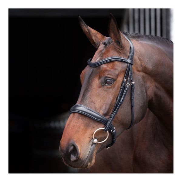 LUSSO Elite Padded Cavesson Bridle