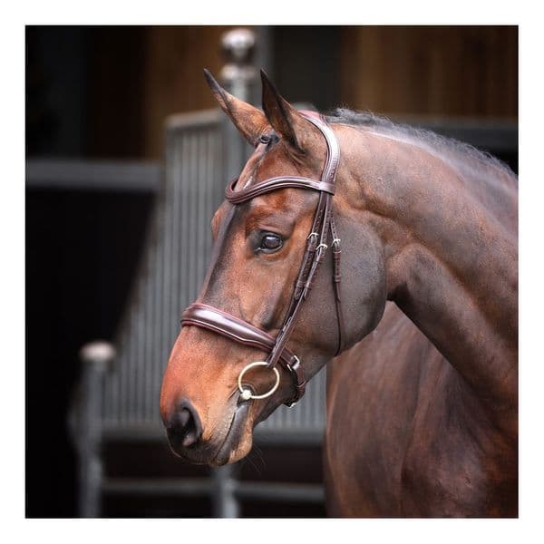 LUSSO Elite Padded Cavesson Bridle