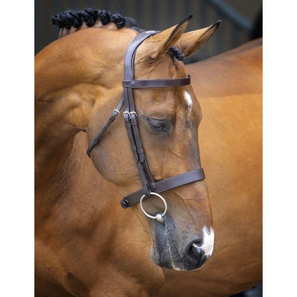 Lusso  Hunter Cavesson Bridle