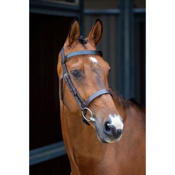 Lusso  Hunter Cavesson Bridle