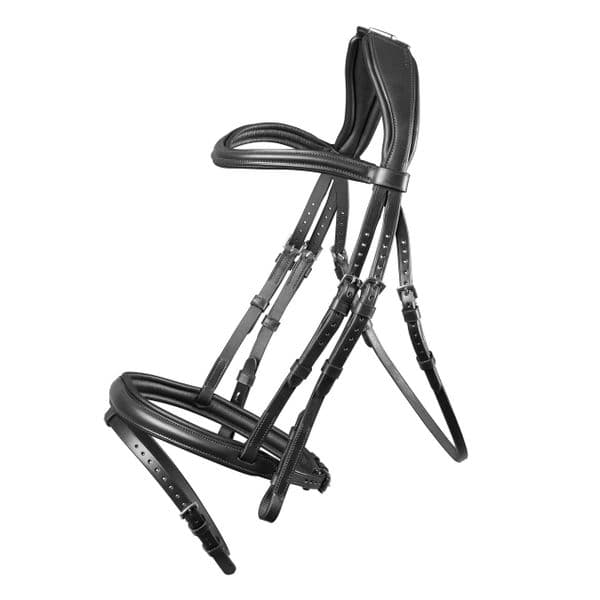 Lusso Padded Raised Flash Bridle