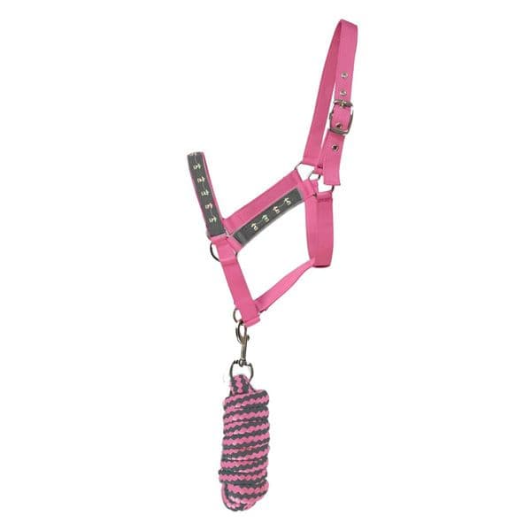 Merry Go Round Head Collar and Lead Rope