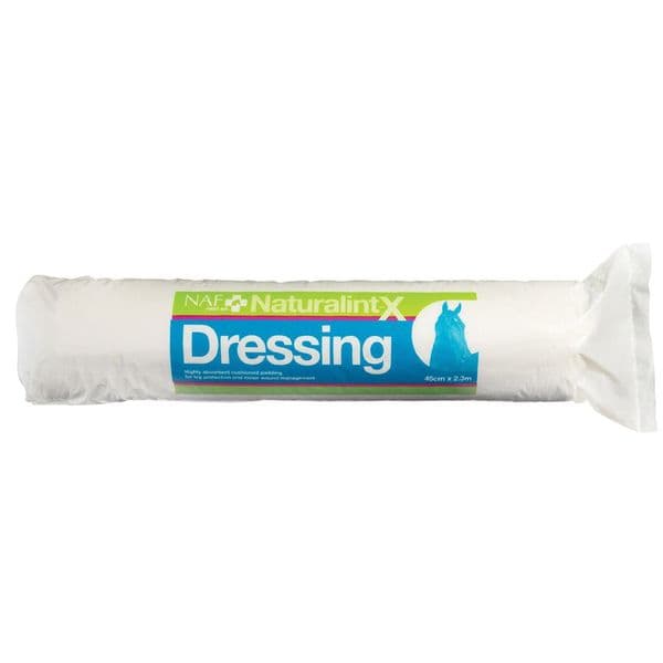 NAF Naturalintx First Aid Dressing 500g