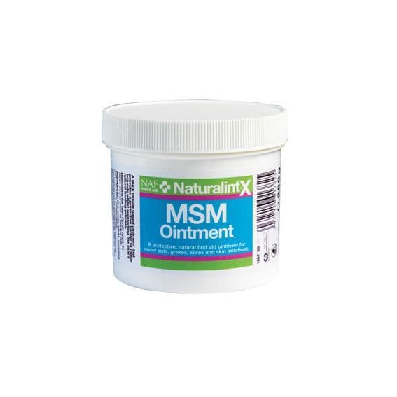 NAF NaturalintX MSM Ointment
