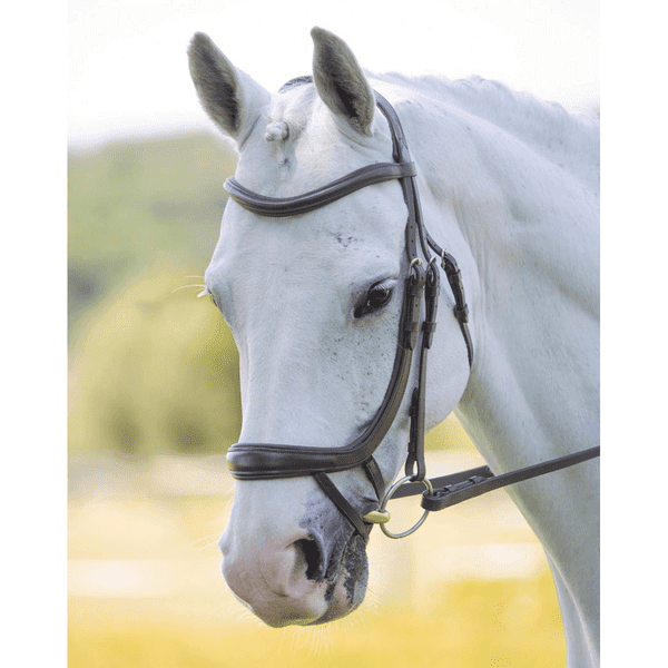 RAPIDA Ergonomic Curved Flash Bridle