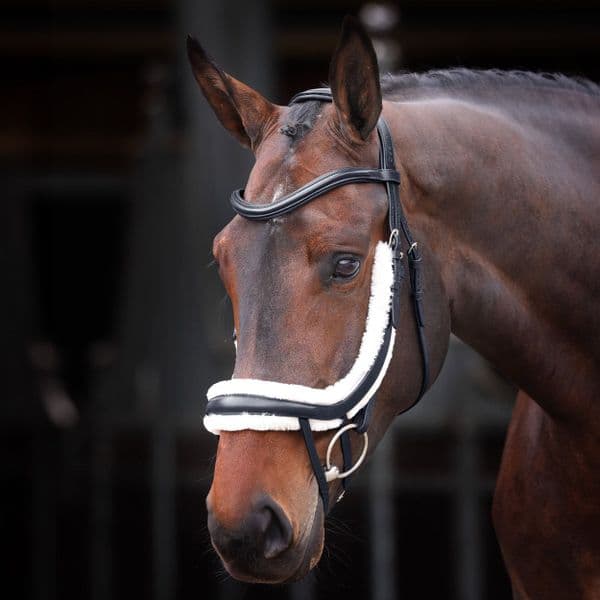 RAPIDA Fleece Lined Curved Flash  Noseband