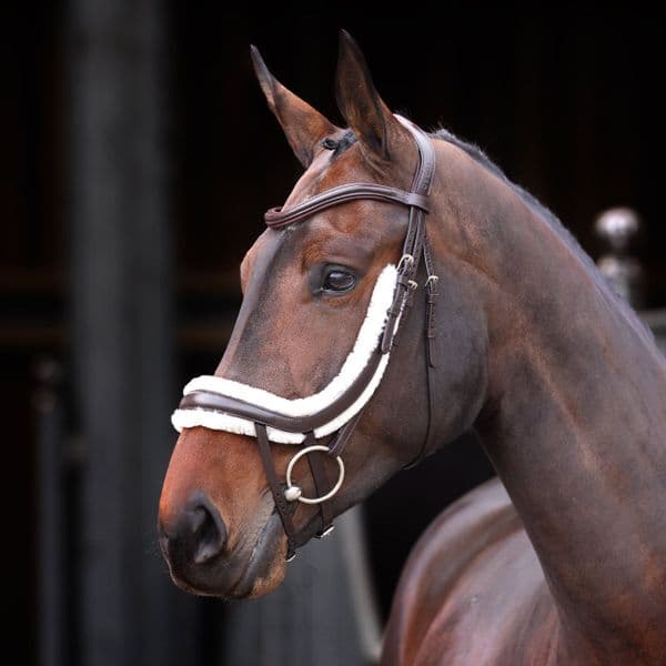 RAPIDA Fleece Lined Curved Flash  Noseband