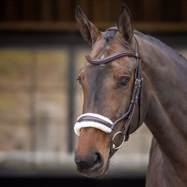 RAPIDA Fleece Rolled  Noseband