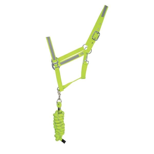 Reflector Head Collar and Lead Rope