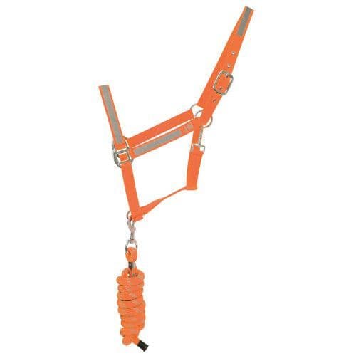 Reflector Head Collar & Lead Rope Orange