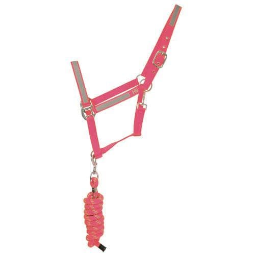Reflector Head Collar & Lead Rope Pink