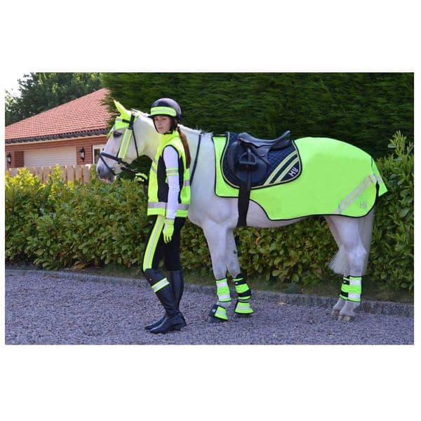 Reflector Mesh Exercise Sheet