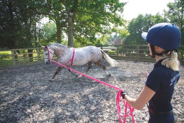 Shires ARMA Cushion Web Lunge Line