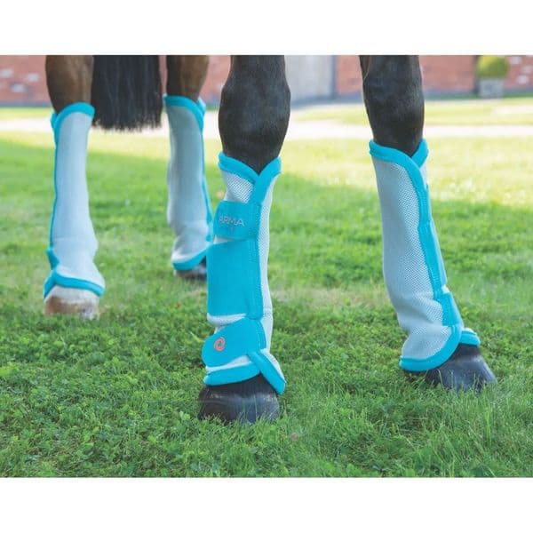 Shires ARMA Fly Turnout Socks - Teal