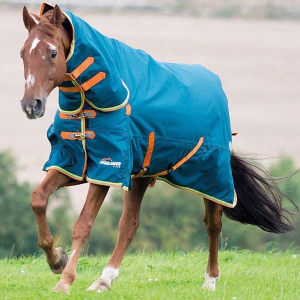 Shires Autumn/Winter Turnout Rugs