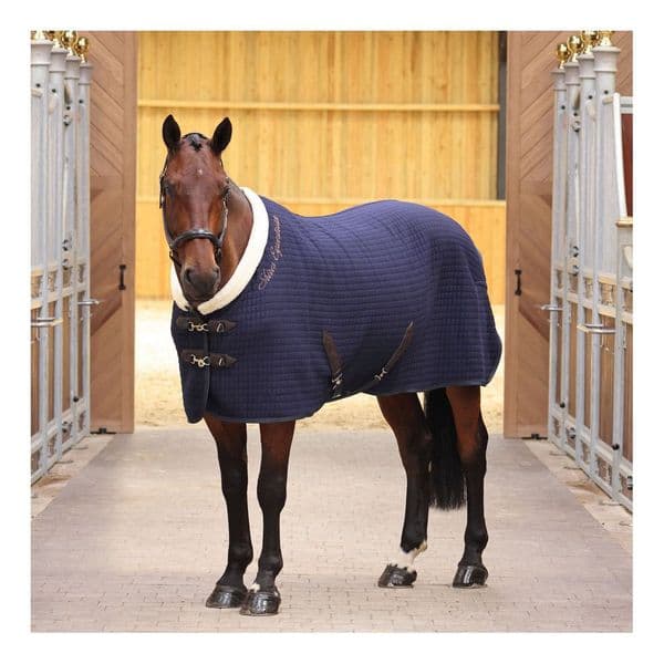 Shires Deluxe Tech Cooler