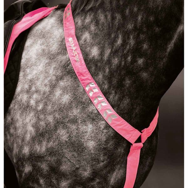 Shires Equi-Flector Breastplate - Pink