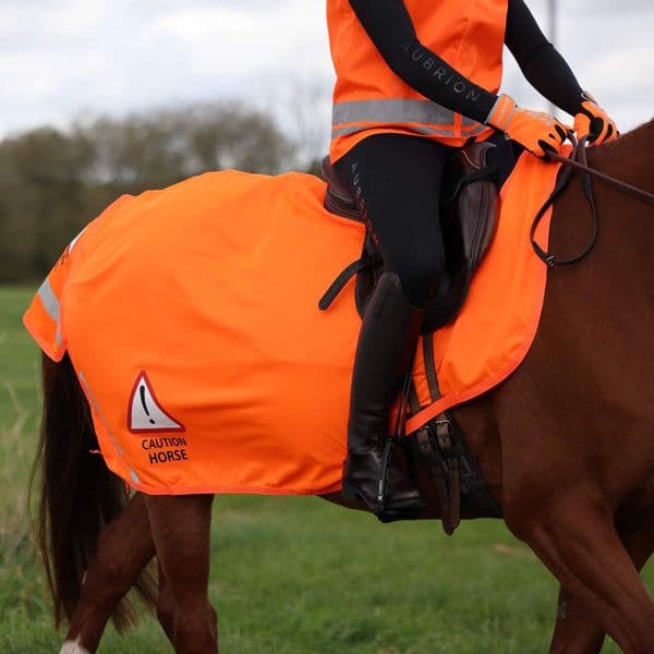 Shires Equi-Flector Mesh Exercise Sheet - Orange