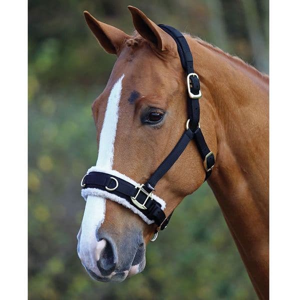 Shires Fleece Lined Lunge Cavesson