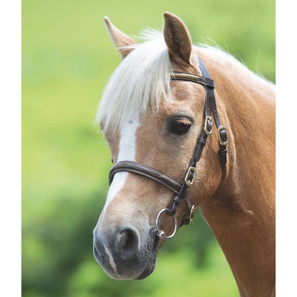 Shires GARA Clincher Inhand Bridle