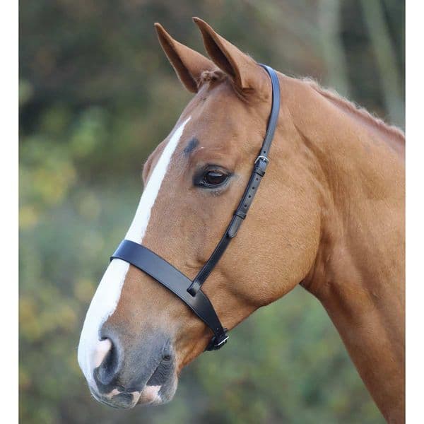 Shires GARA Hunter Cavesson Noseband