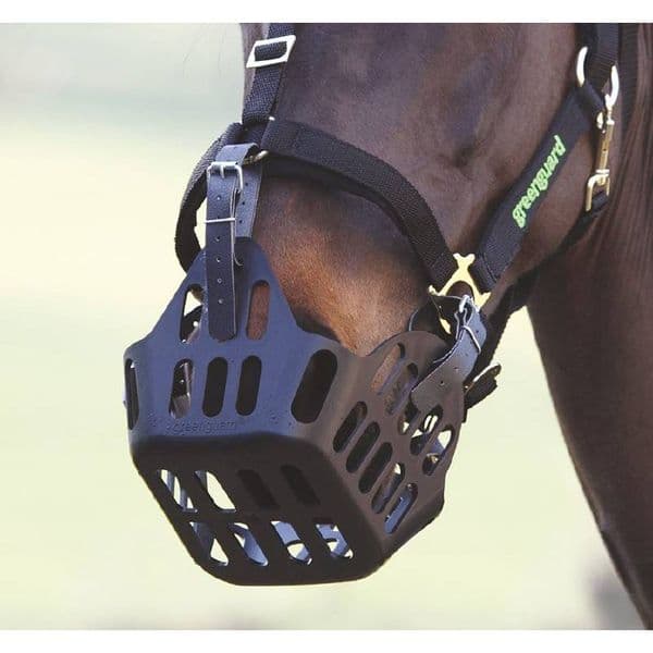 Shires Greenguard Muzzle - Spare Straps
