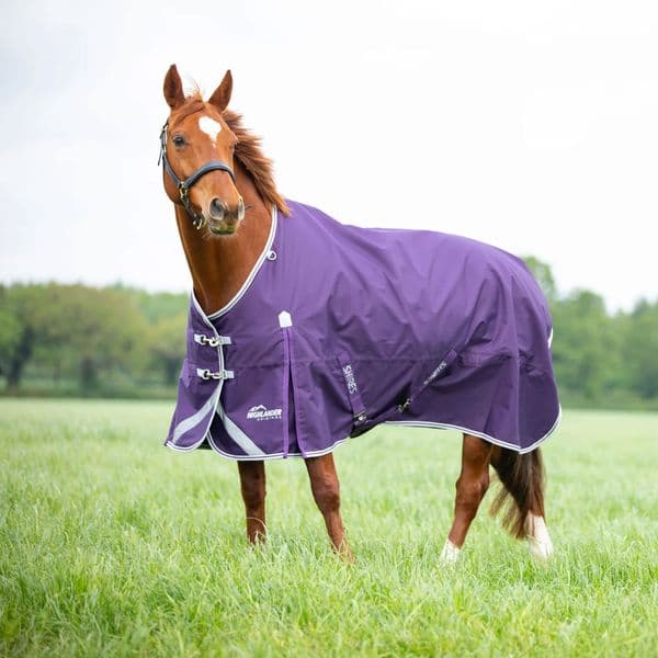 Shires Highlander Original 100 Turnout Rug - Plum