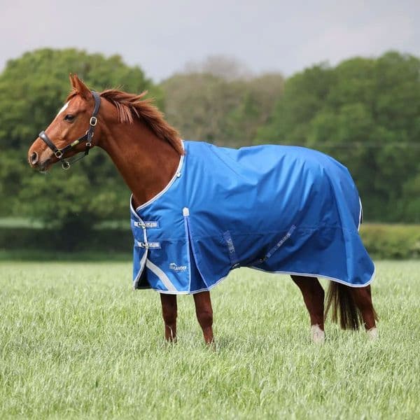 Shires Highlander Original 200 Turnout Rug - Blue