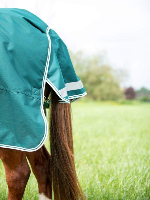Shires Highlander Original 300 Combo Turnout Rug - Green