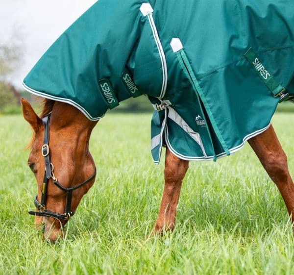 Shires Highlander Original 300 Turnout Rug & Neck Set - Green
