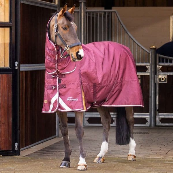 Shires Highlander Plus 100 Combo Turnout Rug