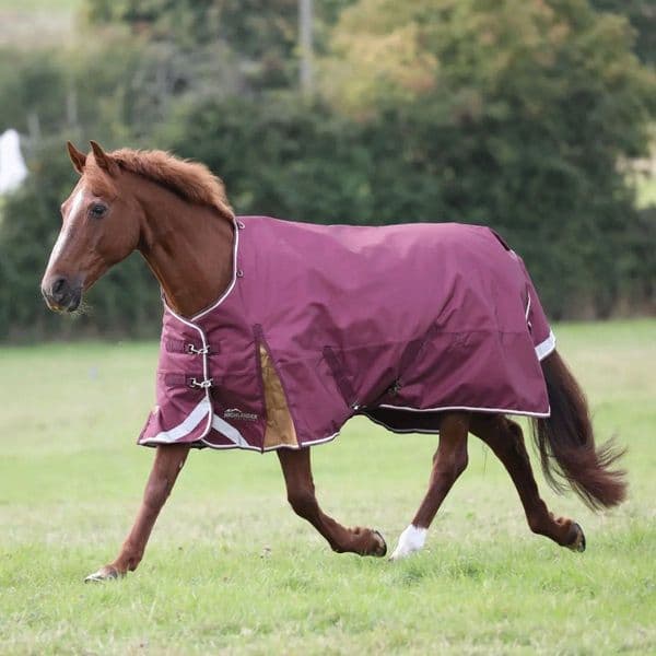 Shires Highlander Plus 100 Turnout Rug