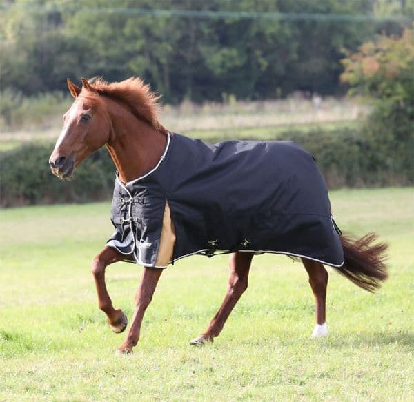 Shires Highlander Plus 200 Turnout Rug