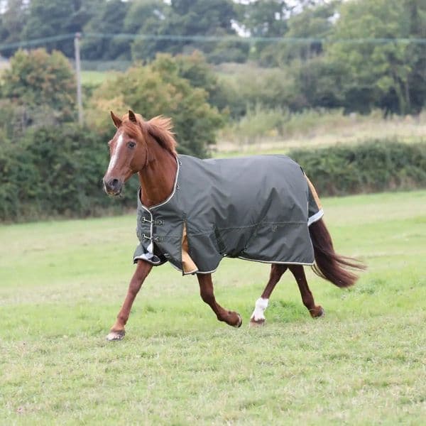 Shires Highlander Plus 50 Turnout Rug