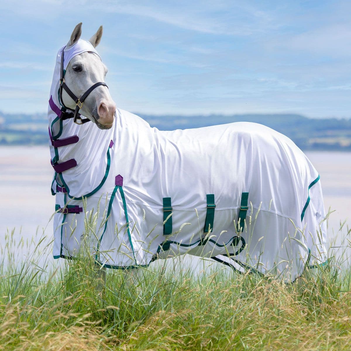 Shires Highlander Plus Fly Sheet Combo