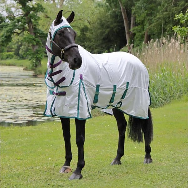 Shires Tempest Sweet-Itch Combo Fly Rug At