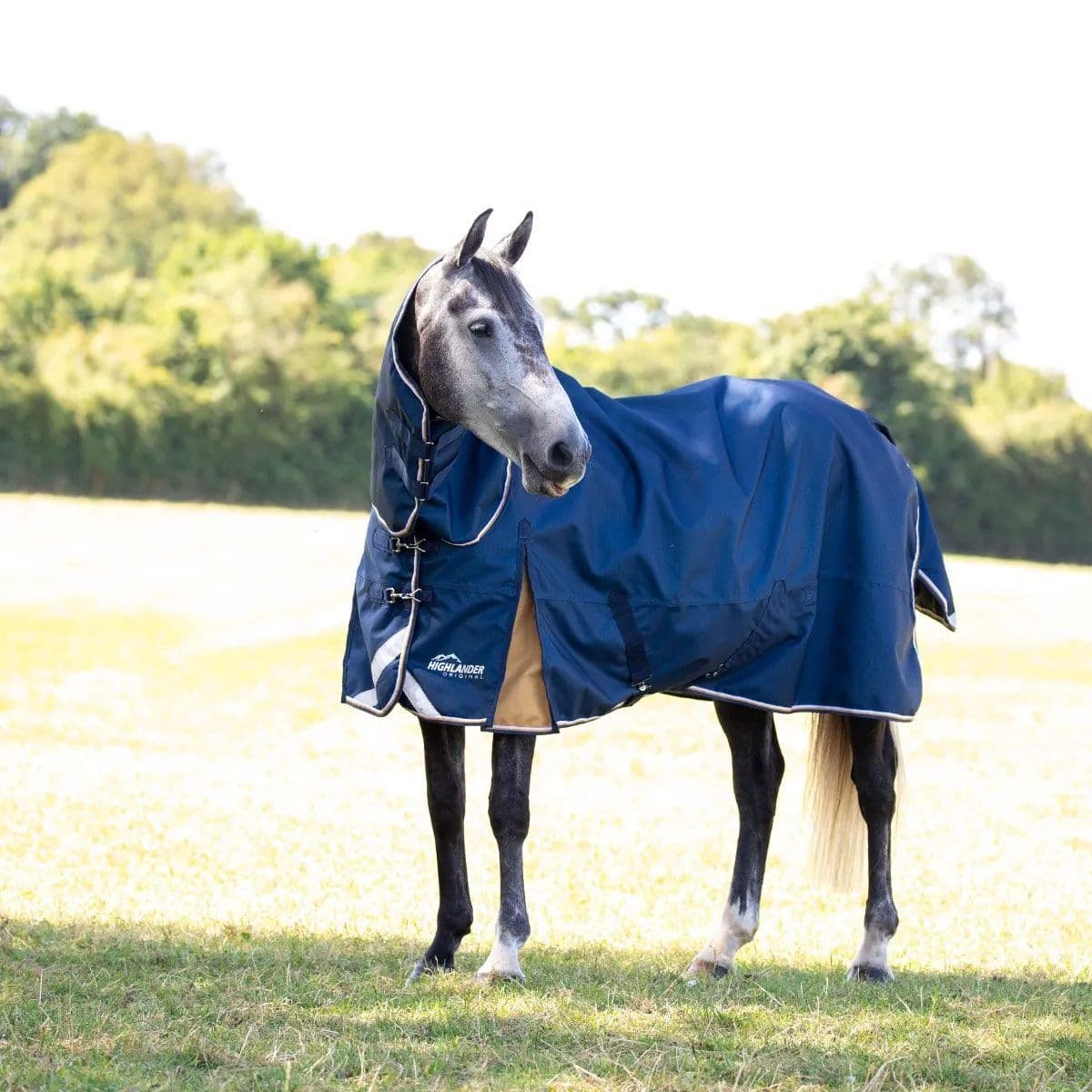 Shires Highlander Plus Lite Combo Turnout Rug