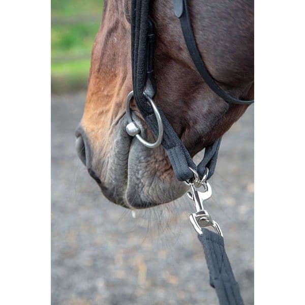 Shires Lunging Adaptor