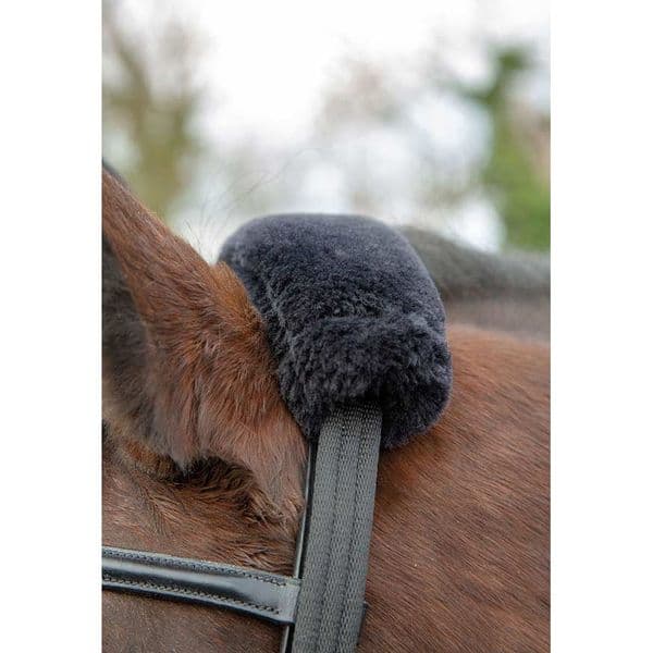 Shires Lunging Adaptor