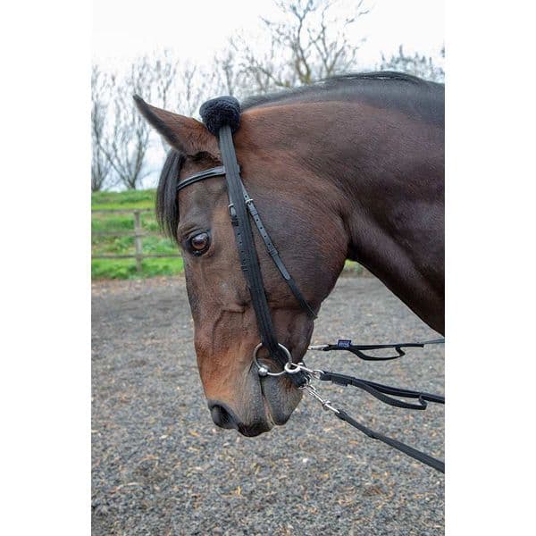 Shires Lunging Adaptor
