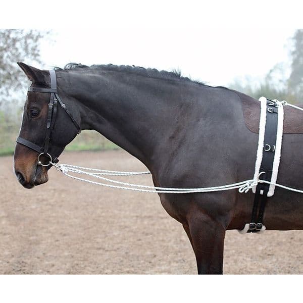 Shires Lunging Aid