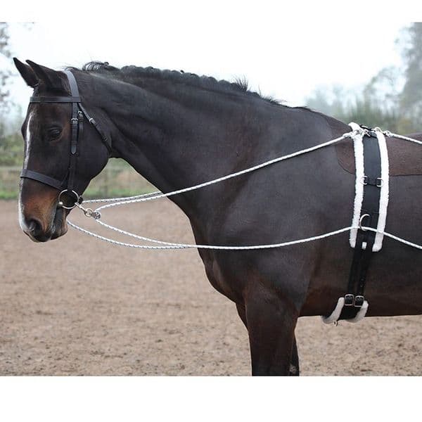 Shires Lunging Aid