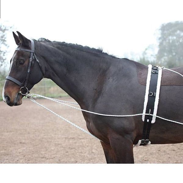 Shires Lunging Aid