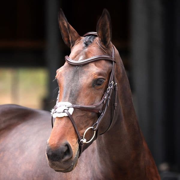 Shires LUSSO Elite Grackle Bridle