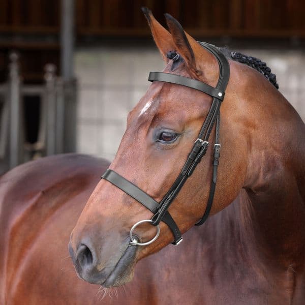 Shires LUSSO Elite Hunter Bridle