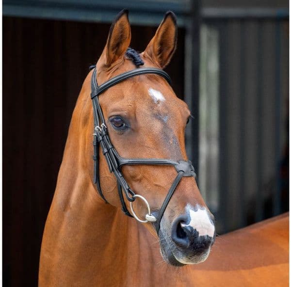 Shires Lusso  Grackle Bridle