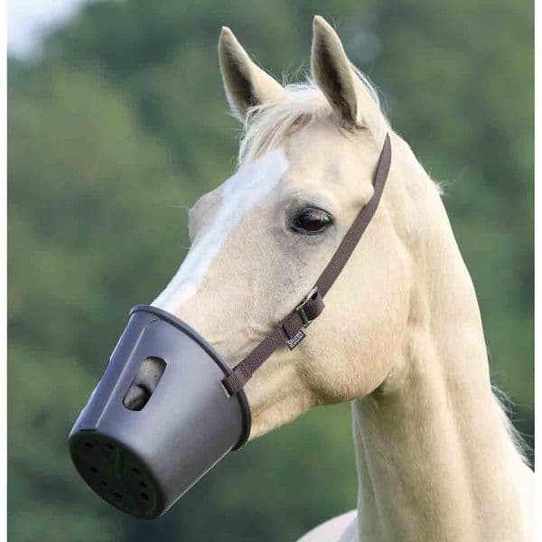 Shires Plastic Muzzle